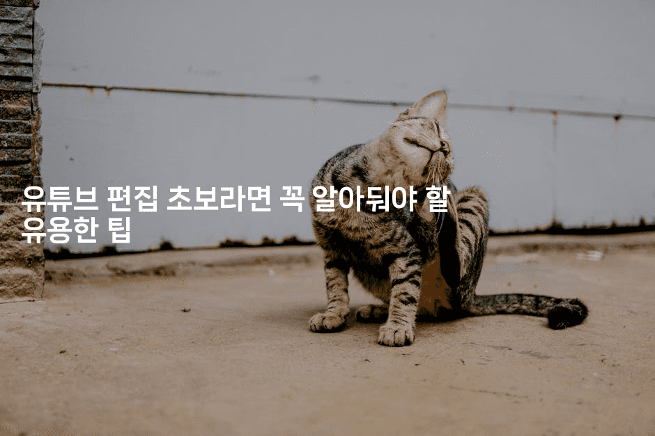 유튜브 편집 초보라면 꼭 알아둬야 할 유용한 팁