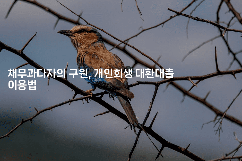 채무과다자의 구원, 개인회생 대환대출 이용법