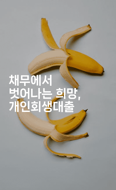 채무에서 벗어나는 희망, 개인회생대출-셀러뷰