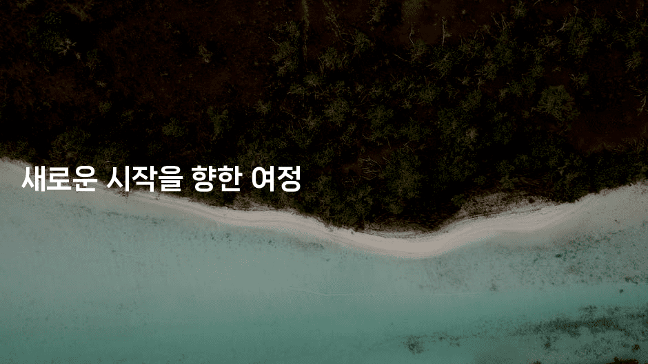 새로운 시작을 향한 여정-셀러뷰