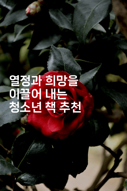 열정과 희망을 이끌어 내는 청소년 책 추천2-셀러뷰