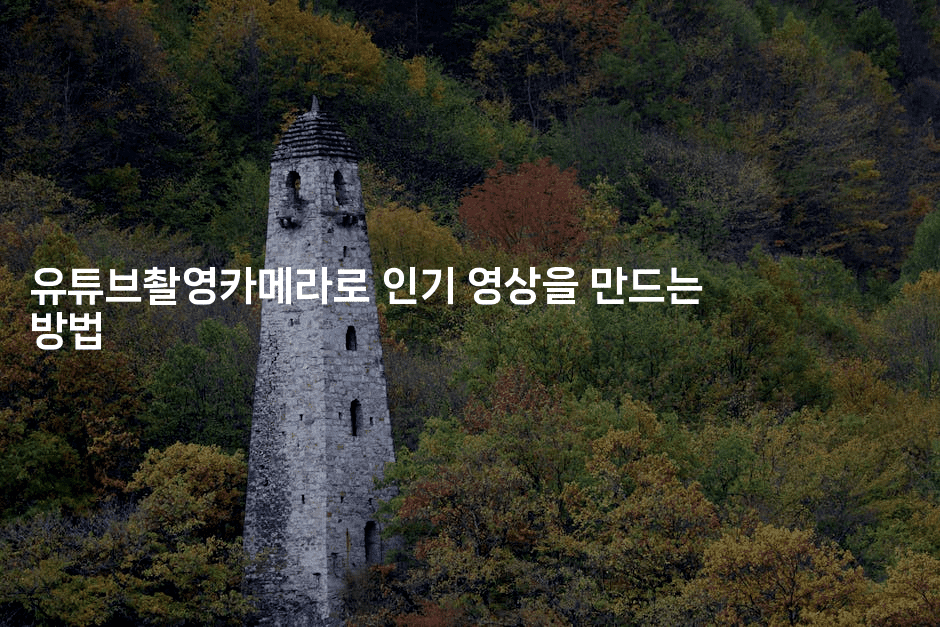 유튜브촬영카메라로 인기 영상을 만드는 방법2-셀러뷰