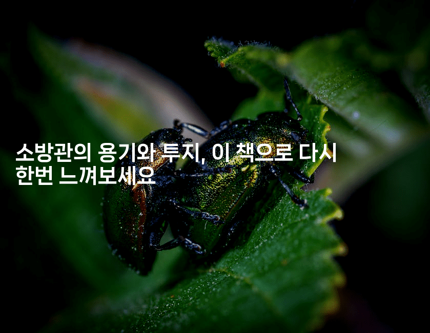 소방관의 용기와 투지, 이 책으로 다시 한번 느껴보세요2-셀러뷰