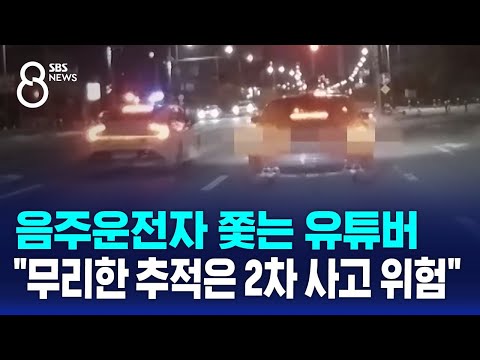 음주운전자 쫓는 유튜버…"2차 사고 우려, 무리한 추적은 위험" / SBS 8뉴스