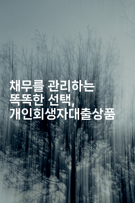 채무를 관리하는 똑똑한 선택, 개인회생자대출상품-셀러뷰