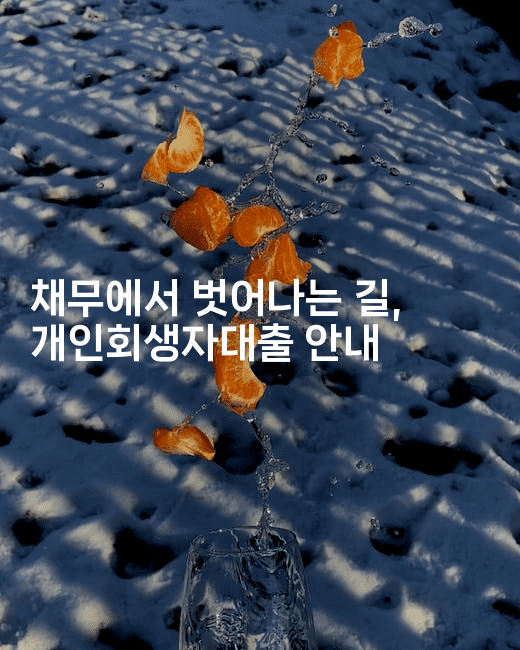 채무에서 벗어나는 길, 개인회생자대출 안내-셀러뷰