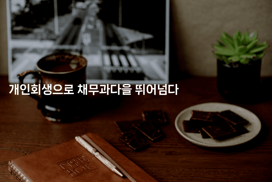 개인회생으로 채무과다을 뛰어넘다-셀러뷰